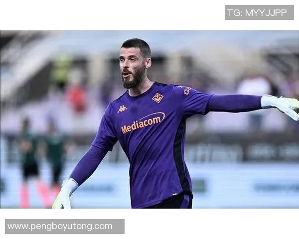 全球足球明星的巅峰之争谁能称王引发球迷热议