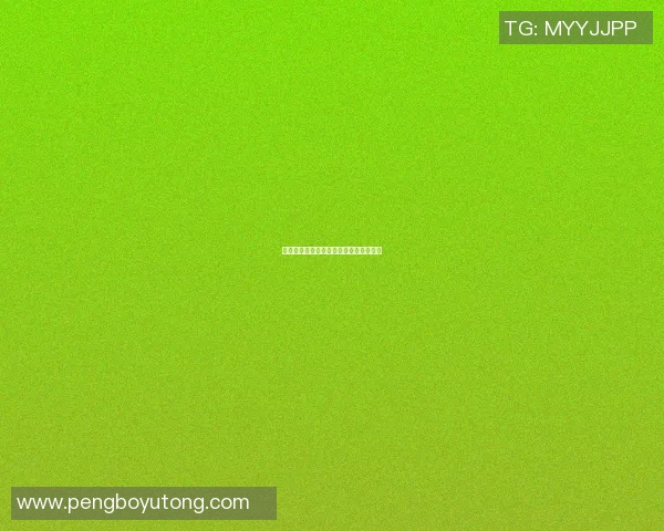 篮球明星大荣的传奇之路与辉煌成就揭秘